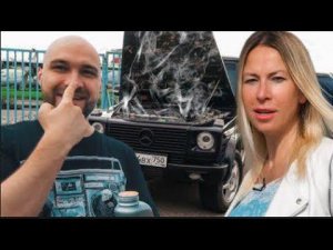 Покупаем Гелик Синдиката Жекича Дубровского? Мастерская Синдиката сделала хорошо. Лиса рулит