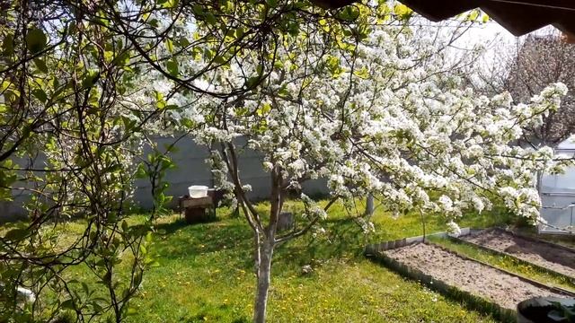 @1956USSR дача Дубровка с/т АТЛАНТ-2 смотреть онлайн