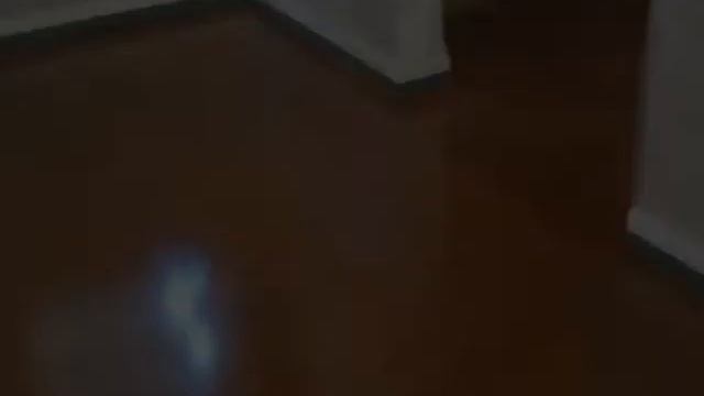 Tile Removal And Concrete Staining