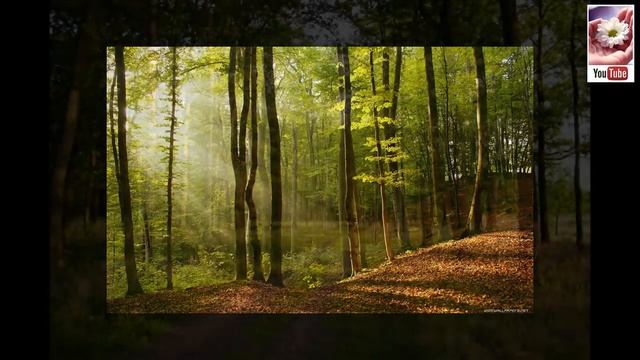 Исцеление внутреннего ребенка Луиза Хей