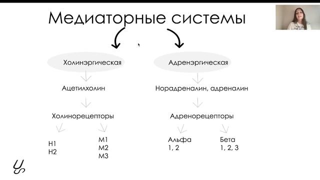 Нормальная физиология | Вегетативная нервная система смотреть онлайн