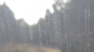 КРЫМ. ТРАССА СЕВАСТОПОЛЬ-ЯЛТА. ЕДЕМ В АЛУПКУ. 04.11.2021