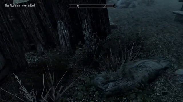 Let‘s Play Skyrim - #055 - Some Quick Coin смотреть онлайн