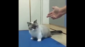 Забавные кубики. Подборка приколов. Vol13