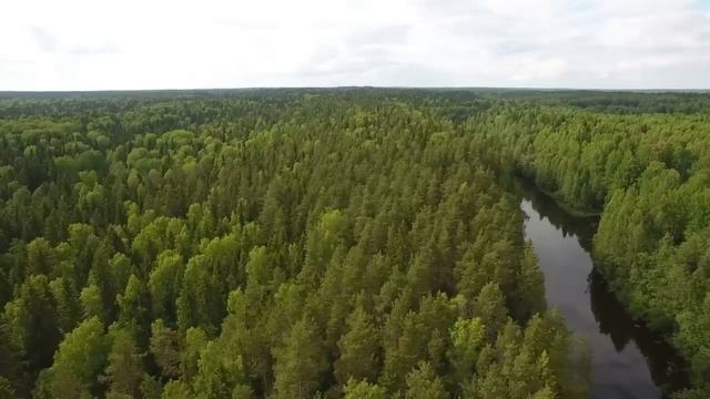 Расслабляющая музыка, которая лечит стресс, беспокойство и депрессивные состояния, исцеляет, смотреть онлайн