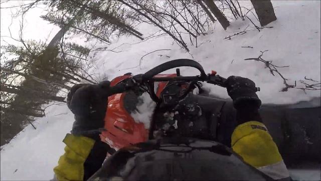 Lynx ForestFox Sled edit season 2018 #6 смотреть онлайн