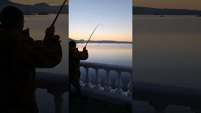 Геленджик, 2 кефали на рассвете смотреть онлайн