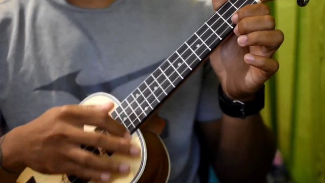 Boy Pablo - tkm (Ukulele) смотреть онлайн