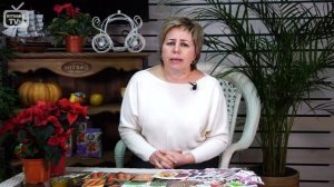 Семена капусты ? Топ 9 лучших сортов белокочанной капусты ? Агрофирма ГАВРИШ