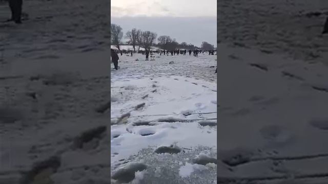 Зимняя рыблка. Ловля толстолоба.