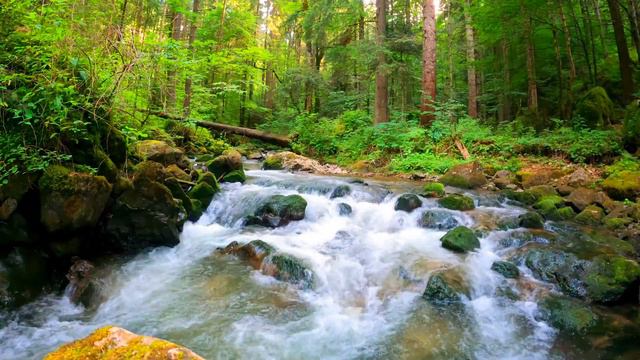 Ждём настоящую весну! Так хочется уже в такие места поехать!!!! смотреть онлайн