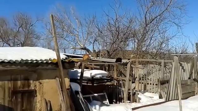 Мартовские коты смотреть онлайн