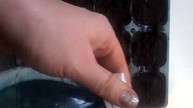 Каскадная петуния РАМБЛИН F1. Посев. смотреть онлайн