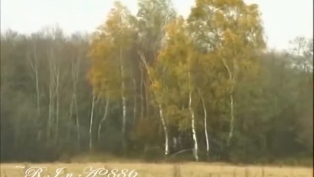 Посвящается Владиславу Галкину смотреть онлайн