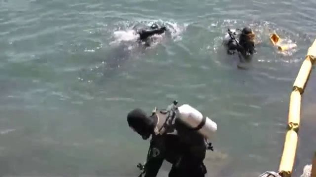 choose2dive смотреть онлайн