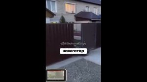 тест на ШИЗУ - уровень сложности: Понос