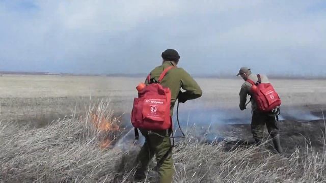 Горит трава вдоль железной дороги. Тушат с помощью рюкзаков, которые дали пожарные. 26. 04. 2021 смотреть онлайн