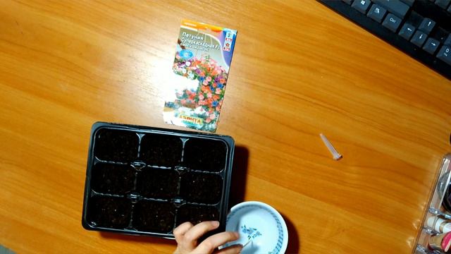 Сею петунию в феврале смотреть онлайн