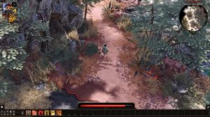Divinity Original Sin 2 - Видео Обзор