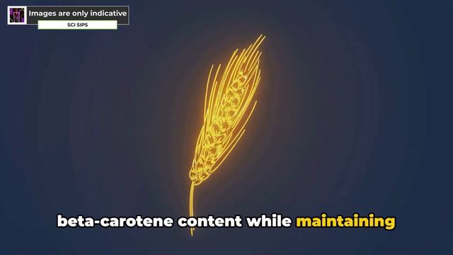 GMO Crops: The Enigma of Modern Agriculture | Science behind Pros and Cons смотреть онлайн