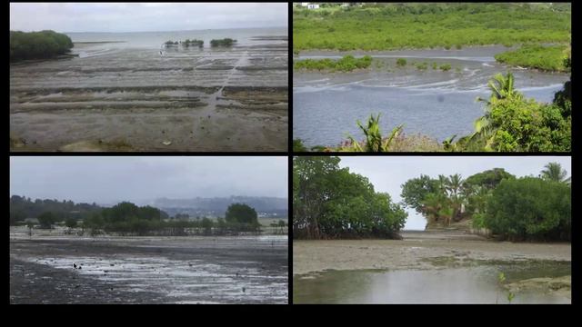 Blue carbon in locally managed marine areas - slides + audio смотреть онлайн