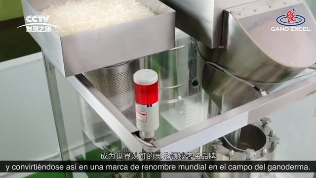 Leow Soon Seng: Rey del Ganoderma del sudeste asiático - Documental Grandes personajes inspiradores смотреть онлайн