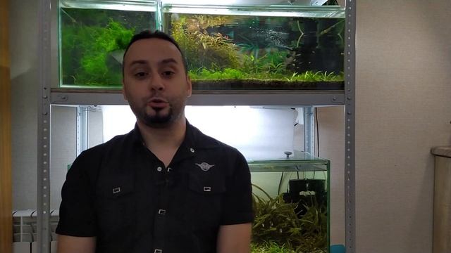 Аквариумные растения без углекислоты и осмоса! Зачем вообще это нужно. смотреть онлайн