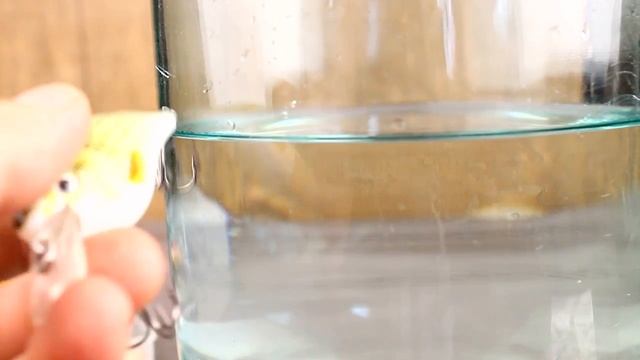 Китайский воблер крэнк с алиэкспресс для рыбалки на спиннинг летом смотреть онлайн