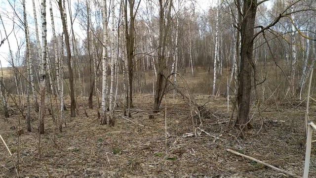 Девять минут тишины или коп без базара. смотреть онлайн