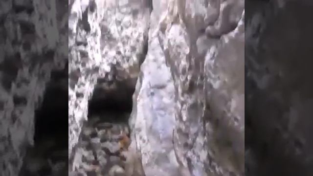 VLOG:Поход в Новый Свет :) смотреть онлайн