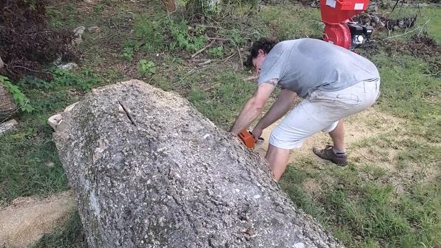 STIHL MS660 ripping some wood apart! смотреть онлайн