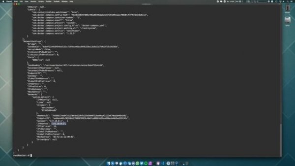 Docker Befehle zur Problemlösung