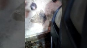 Замена помпы форд фокус   1.8