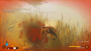 Акула эволюционировала и стала больше !