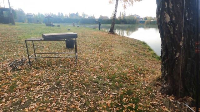 Осенняя Troutmania. День 5-й смотреть онлайн