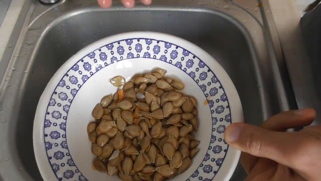 Семена тыквы - как собрать и хранить в домашних условиях смотреть онлайн