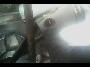 к чему приводит сальник муравей который во время не заменить