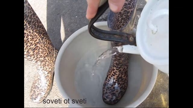 РЕЗИНОВЫЕ Сапоги как НОВЫЕ!!! Как обновить и вернуть блеск резиновым сапогам!