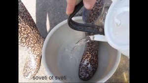 РЕЗИНОВЫЕ Сапоги как НОВЫЕ!!! Как обновить и вернуть блеск резиновым сапогам!
