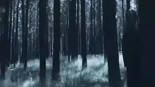 I Follow Rivers- Lykke Li (official Video)