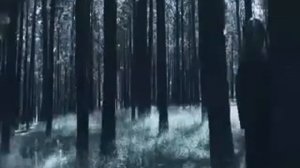 I Follow Rivers- Lykke Li (official video)