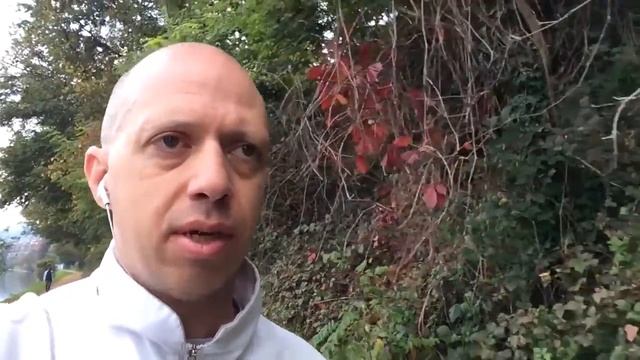 Dan 96: Osnove samokorekcije oziroma samozaveze смотреть онлайн
