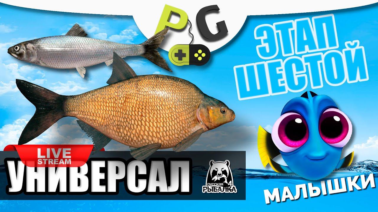 Русская Рыбалка 4 - Стрим Прокачка УНИВЕРСАЛА для 6-го этапа Стрим #5 Тур Малышки + Фарм на Селедке смотреть онлайн