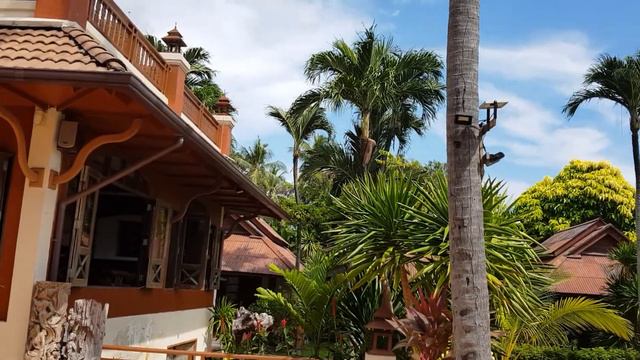 #Aloha Resort Samui, #обзор, #отдых в тайланде! смотреть онлайн