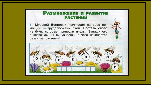 Размножножение и развитие растений 1 задание.Окружающий мир 3 класс рабочая тетрадь. Слово. смотреть онлайн