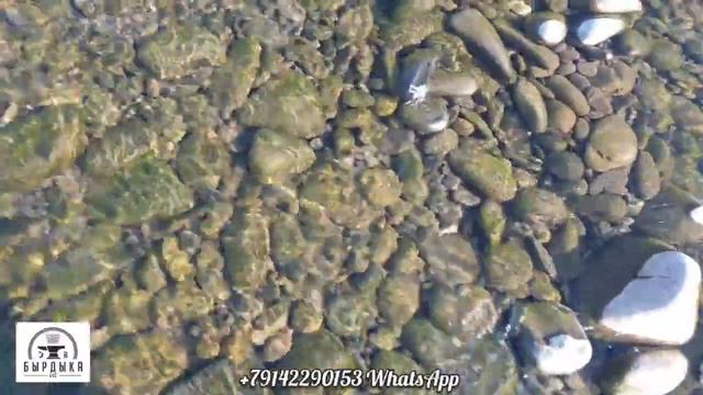 Охота на охоту смотреть онлайн