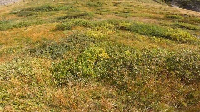 Поход -= ВАНУАЗ =- DAY9 Французские Альпы Национальный парк DAY9 Tour de la Vanoise Figure of eight смотреть онлайн