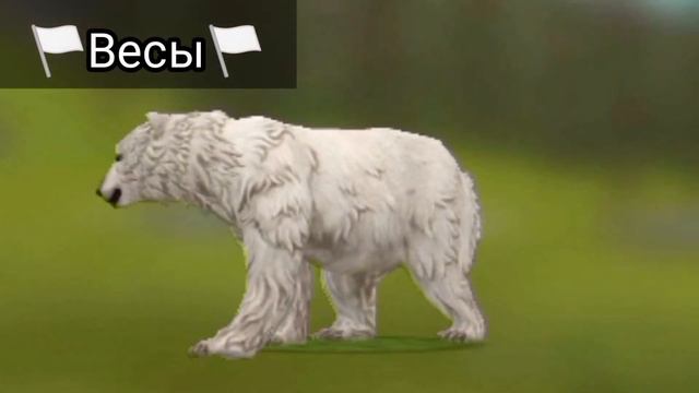 🧃Какой ты МИШКА по знаку зодиака в WildCraft?🌼 (4 часть?) смотреть онлайн