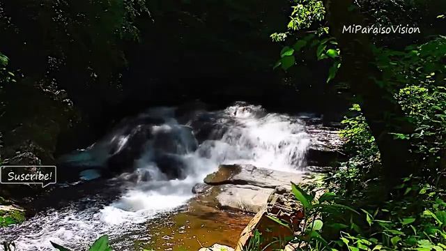 Guzheng Music, Chinese Harp Music, Relaxation Music, Stress Relief Music