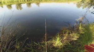 Ловим окуней на экраны с берега. Супер клев!!!